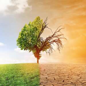 Dérèglement climatique par Jean Dumas