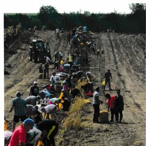 Monde rural : un nouveau lieu de mission