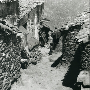 Robert Martel : souvenirs d'Algérie