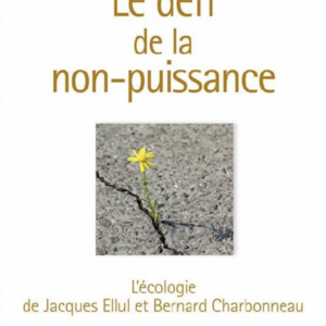 Frédéric Rognon : Le défi de la non-puissance