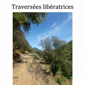 Jean-Pierre Rive : Traversées libératrices