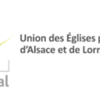 Le Conseil de l&rsquo;UEPAL communique