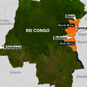 Philippe Kabongo Mbaya : Rwanda, l'axe du mal en Afrique !